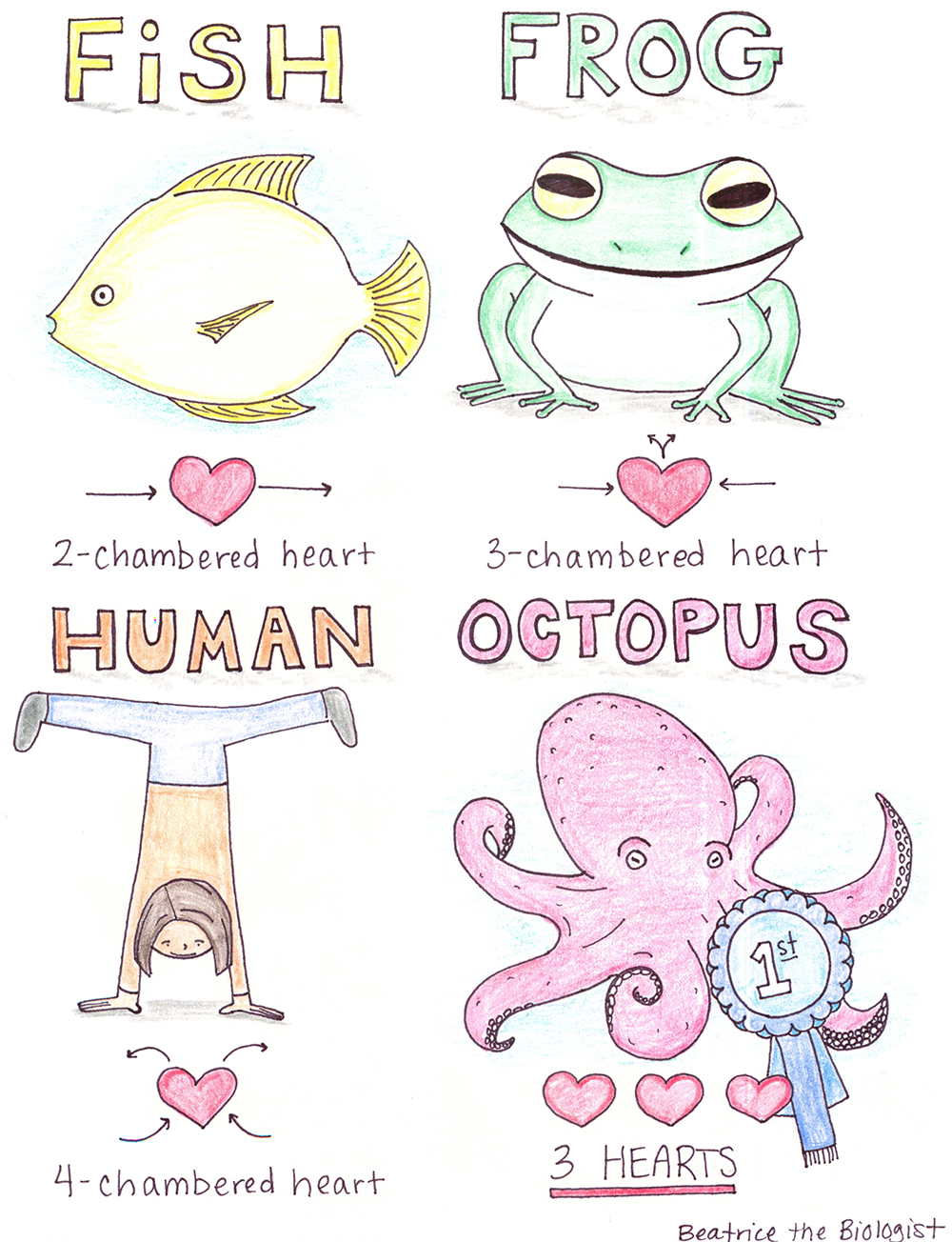 Heart Awards - Beatrice the Biologist