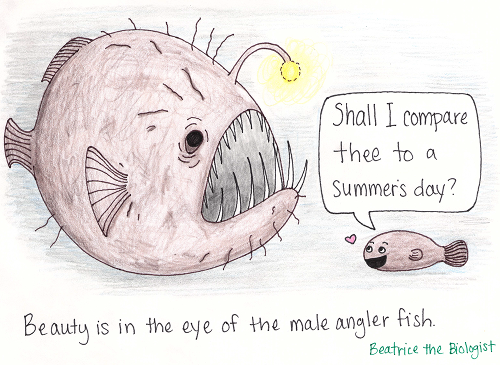 Angler Fish Beauty - Beatrice the Biologist