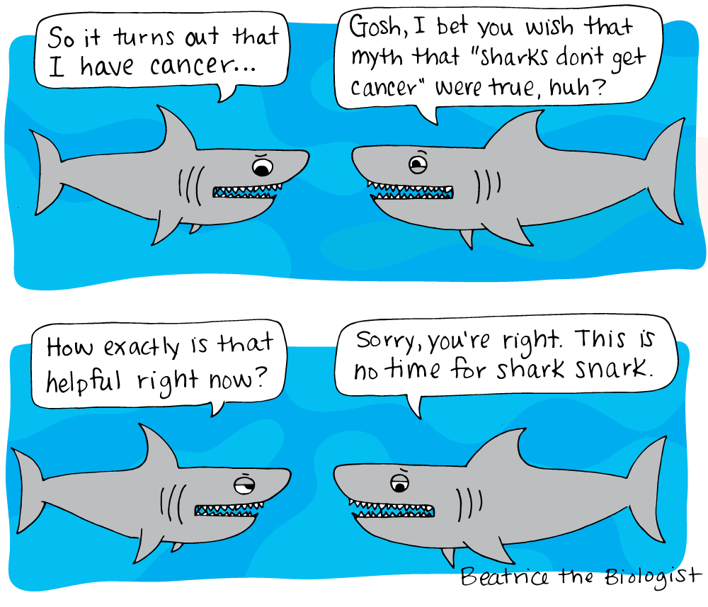 shark cancer comic
