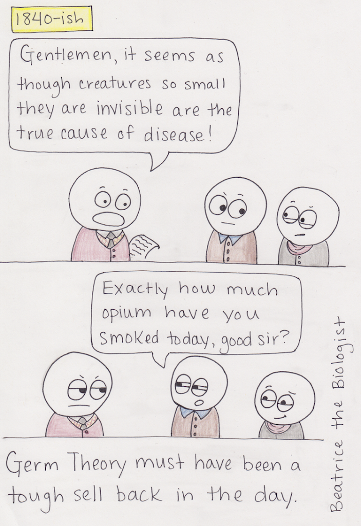 The Beginnings of Germ Theory - Beatrice the Biologist